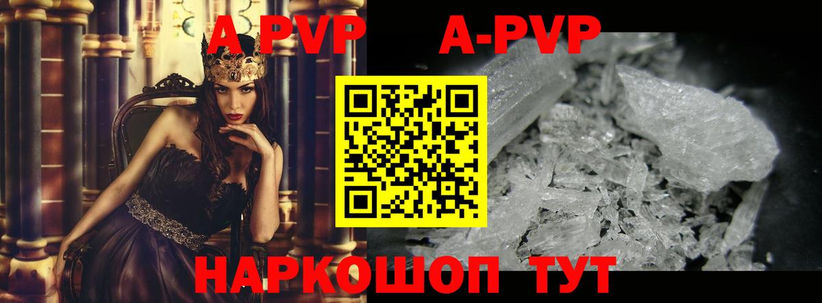 A PVP СК Орёл