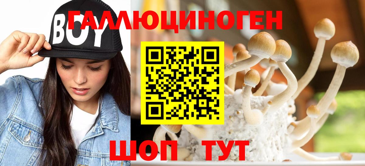 Псилоцибиновые грибы прущие грибы Орёл