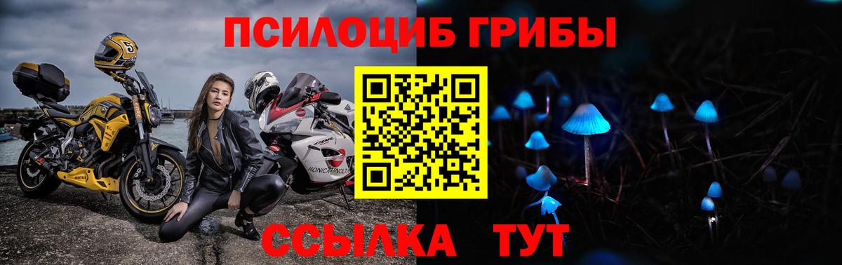 Псилоцибиновые грибы Magic Shrooms  Вход с VPN  Орёл  Псилоцибиновые грибы Cubensis 