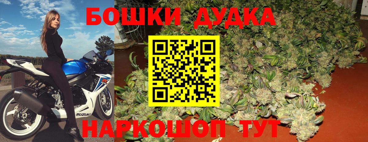 Бошки Шишки план Орёл